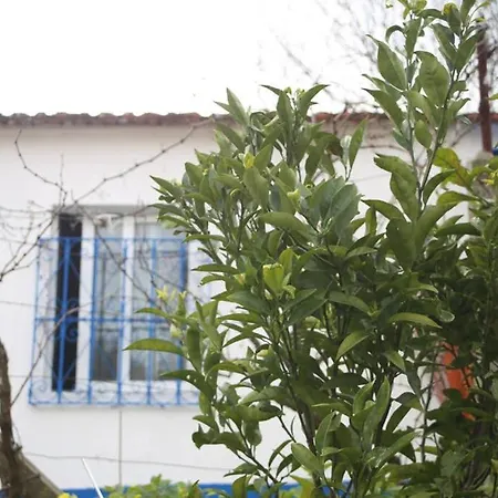 Nomad Apartament